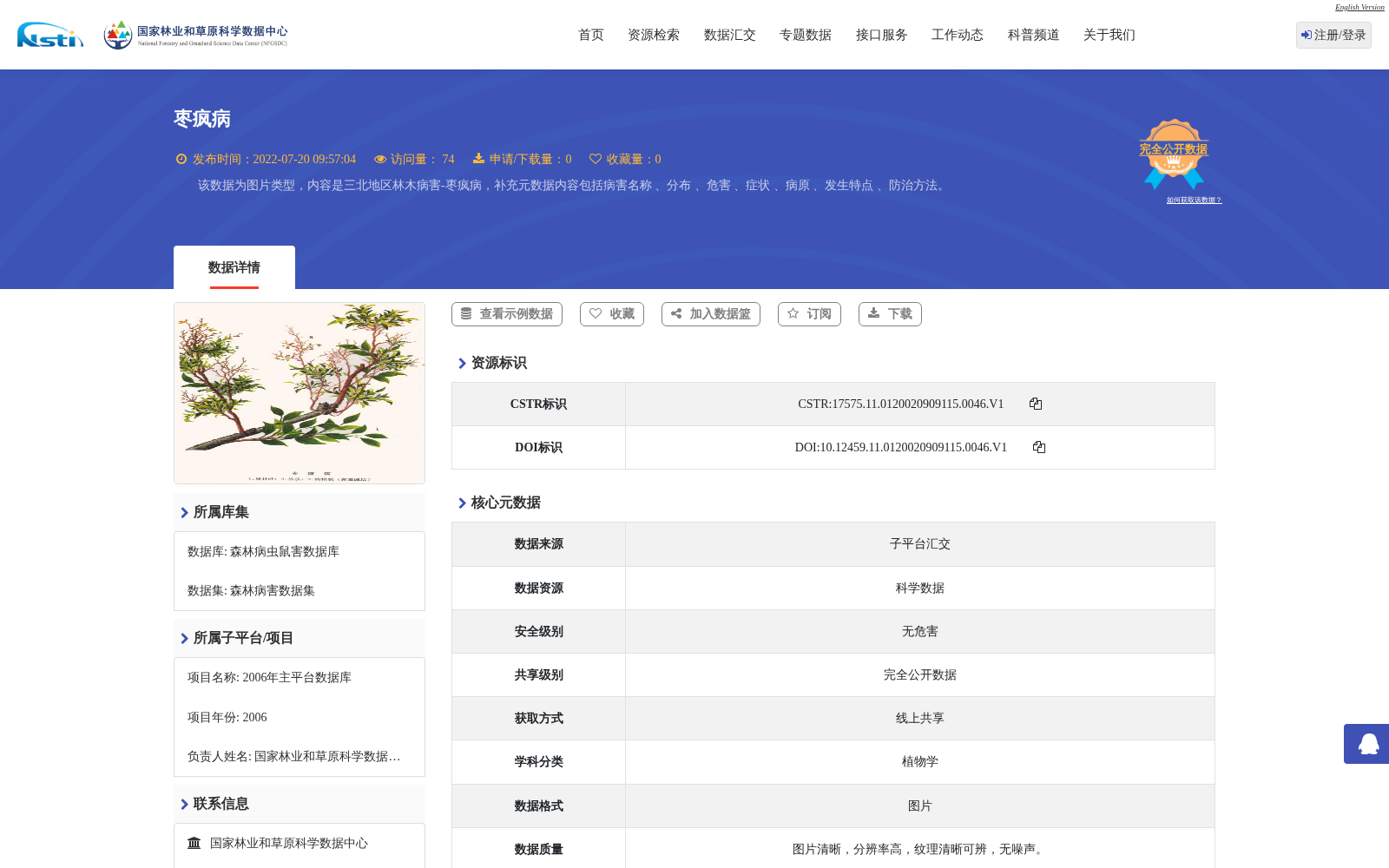 枣疯病 数据集图片