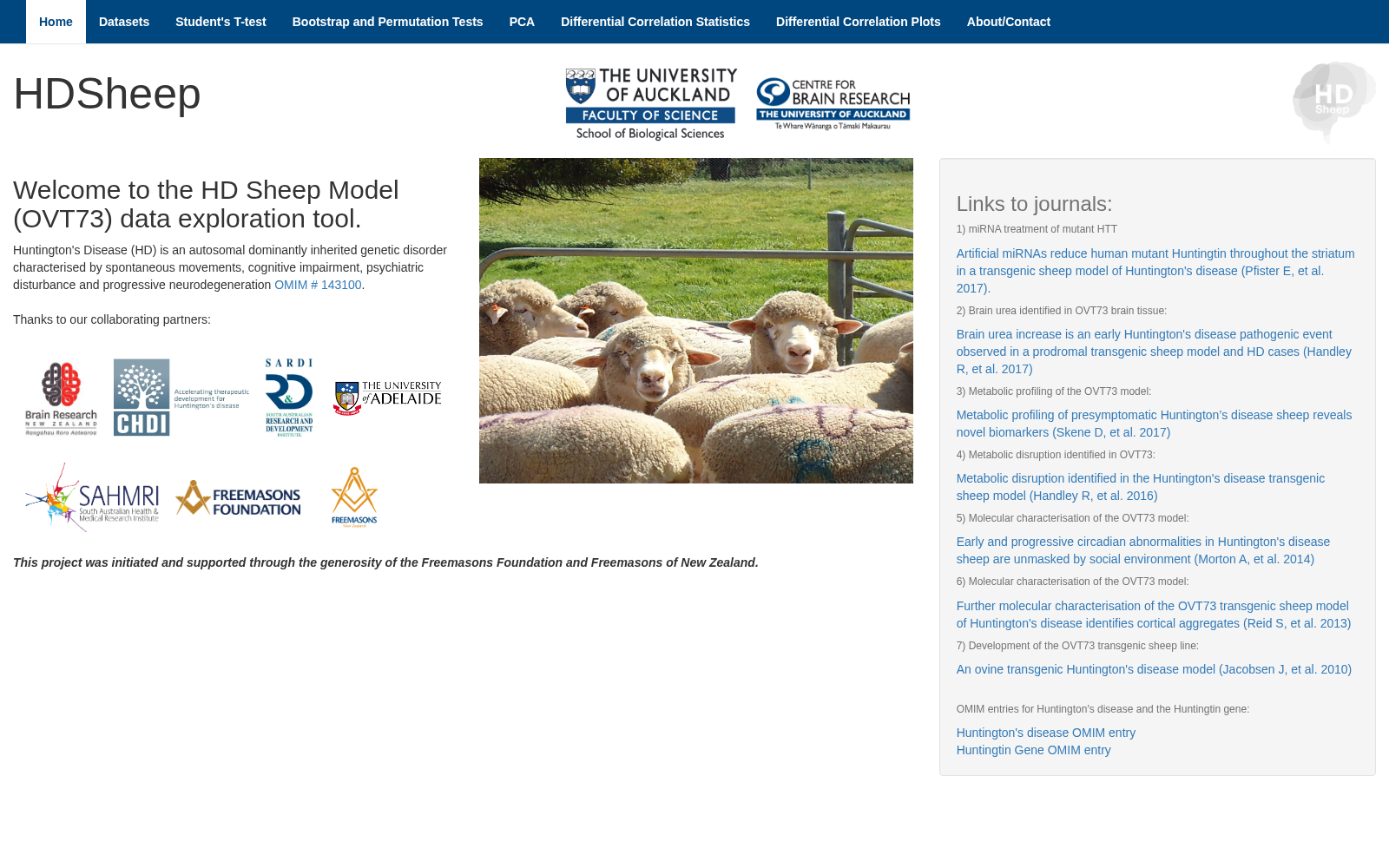 HDSheep 数据集图片