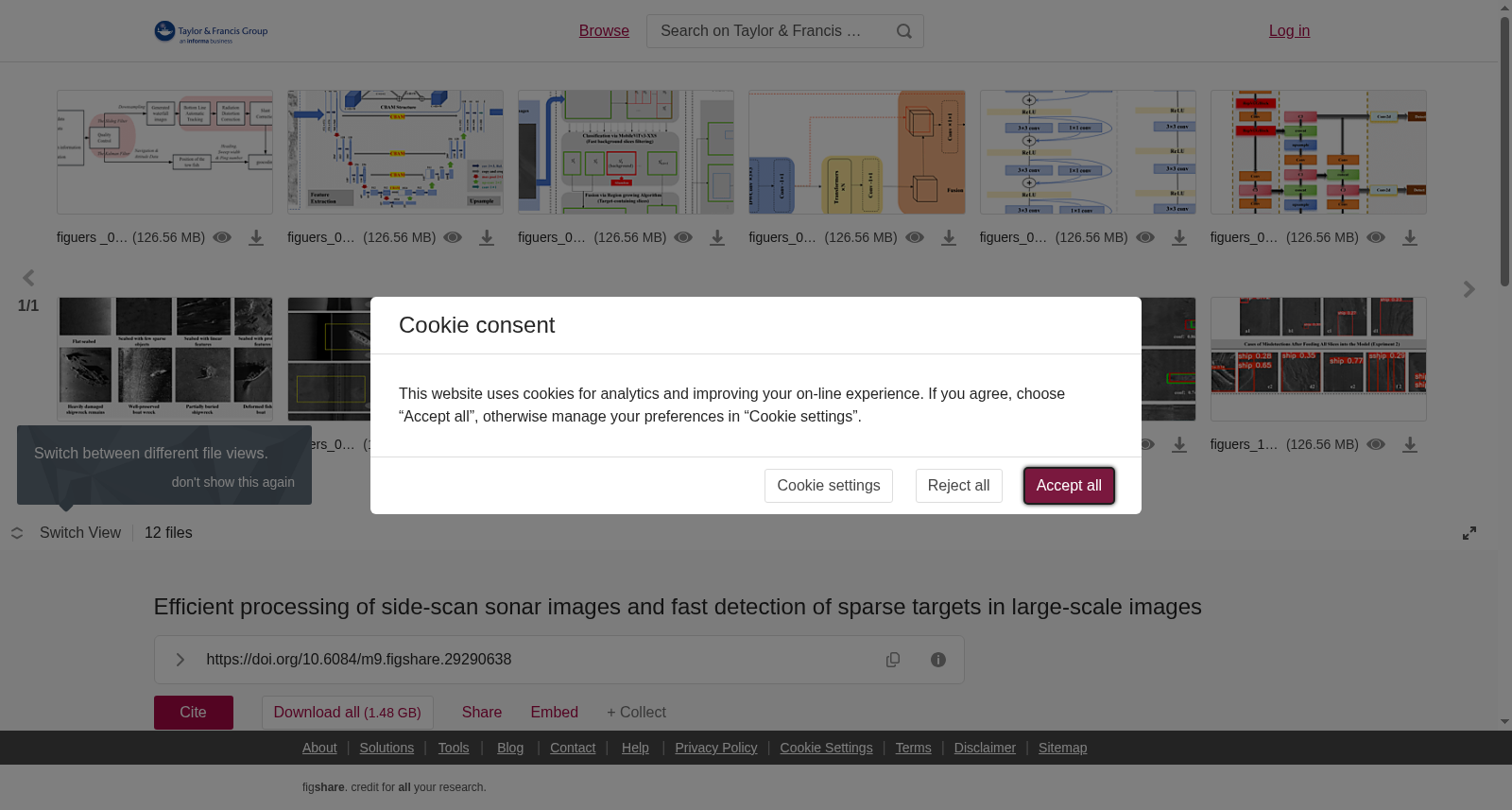 Efficient processing of side-scan sonar images and fast detection of sparse targets in large-scale images 数据集图片