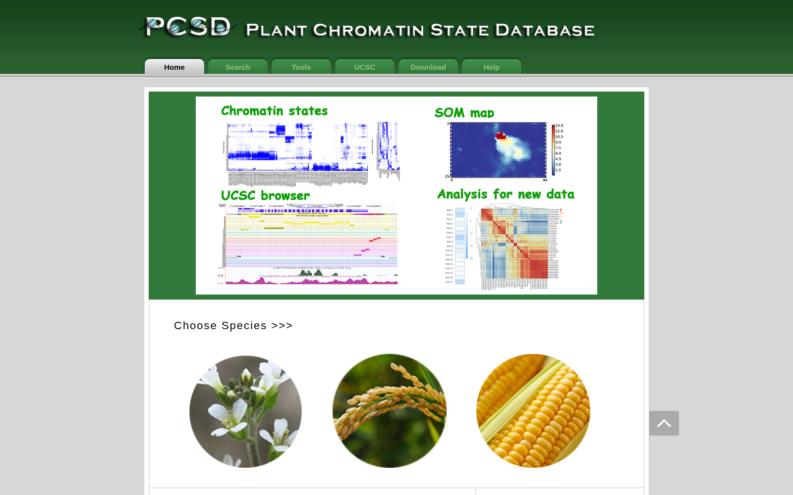 pcsd 数据集图片