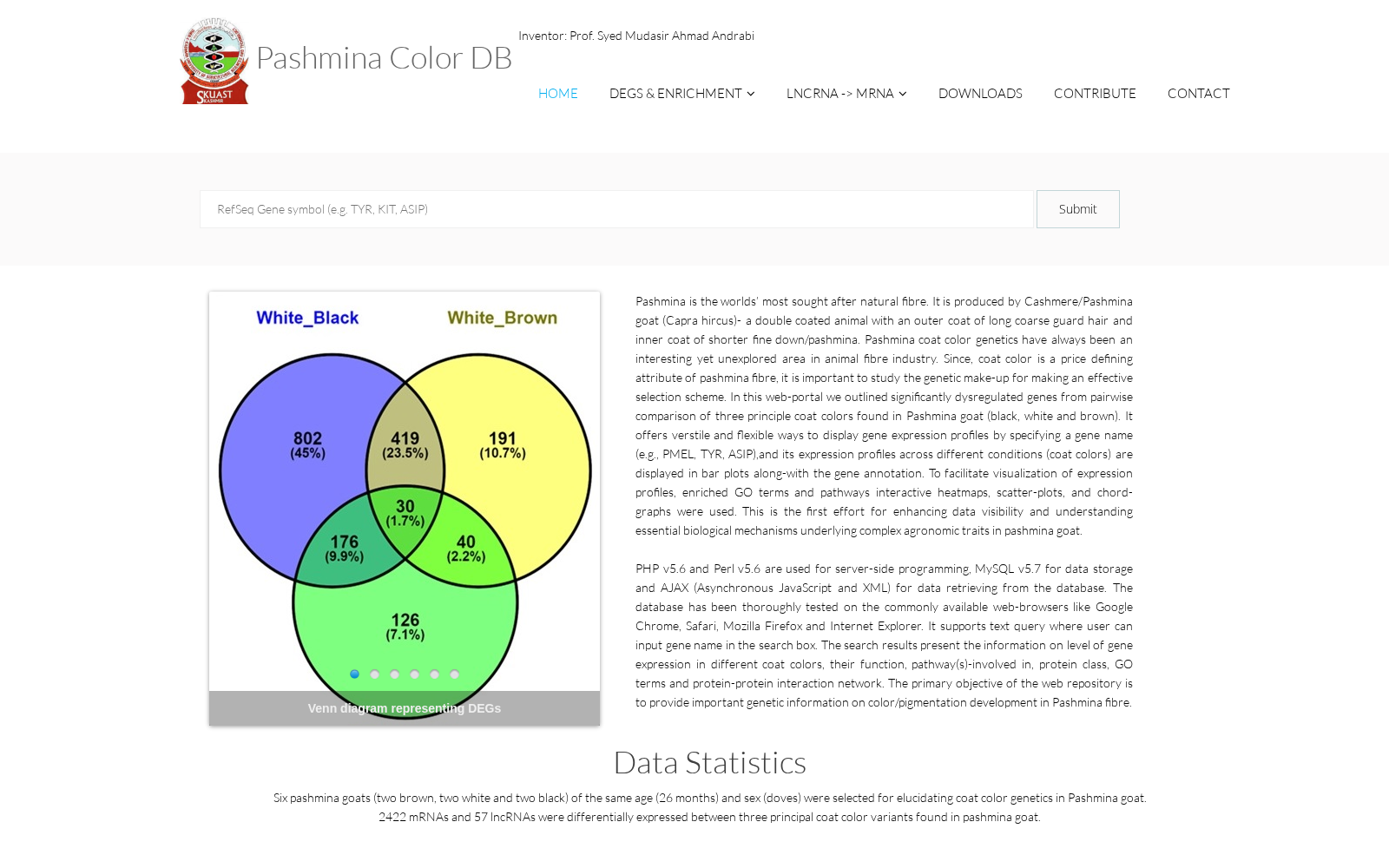 Pashmina Color DB 数据集图片
