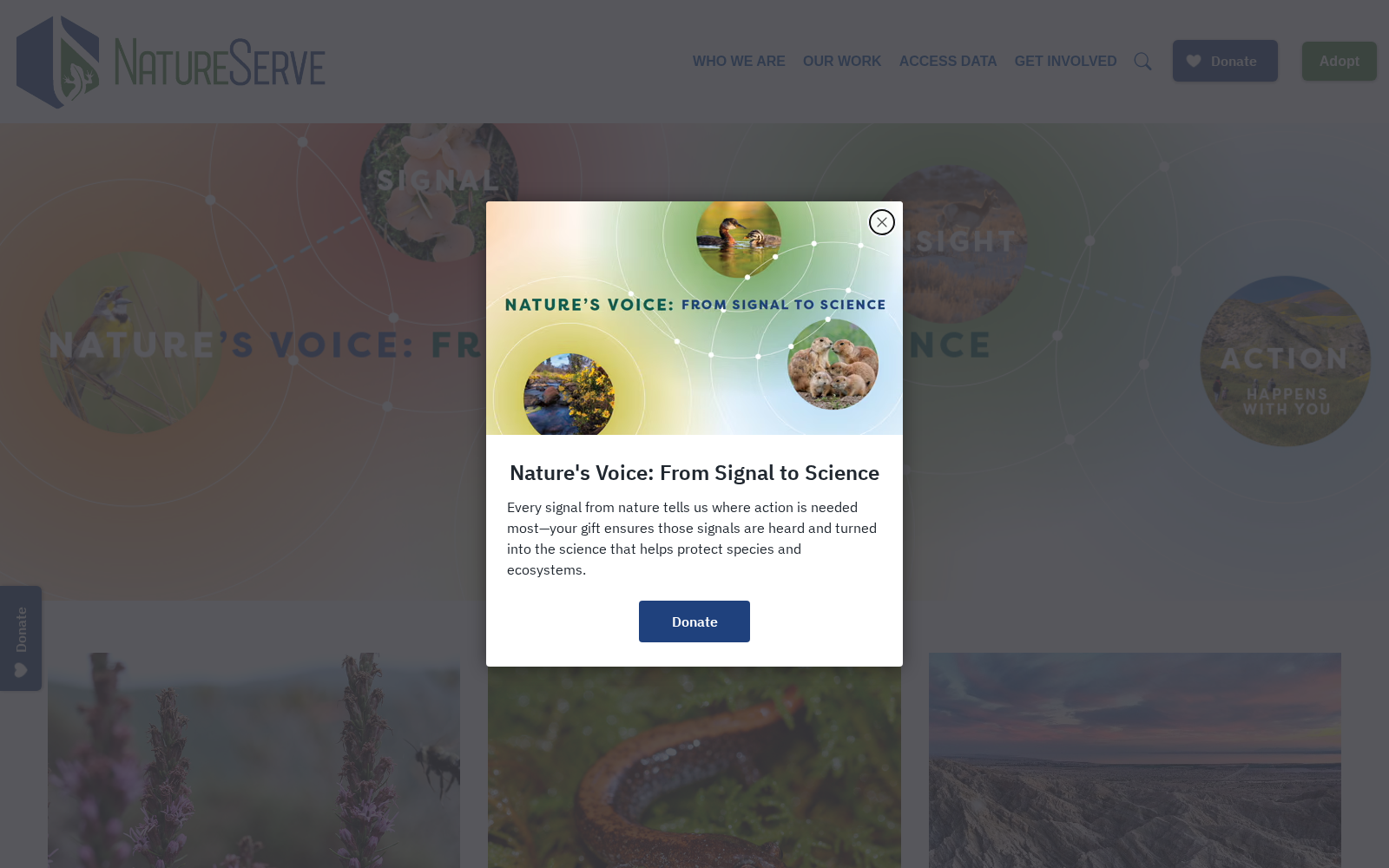 NatureServe 数据集图片