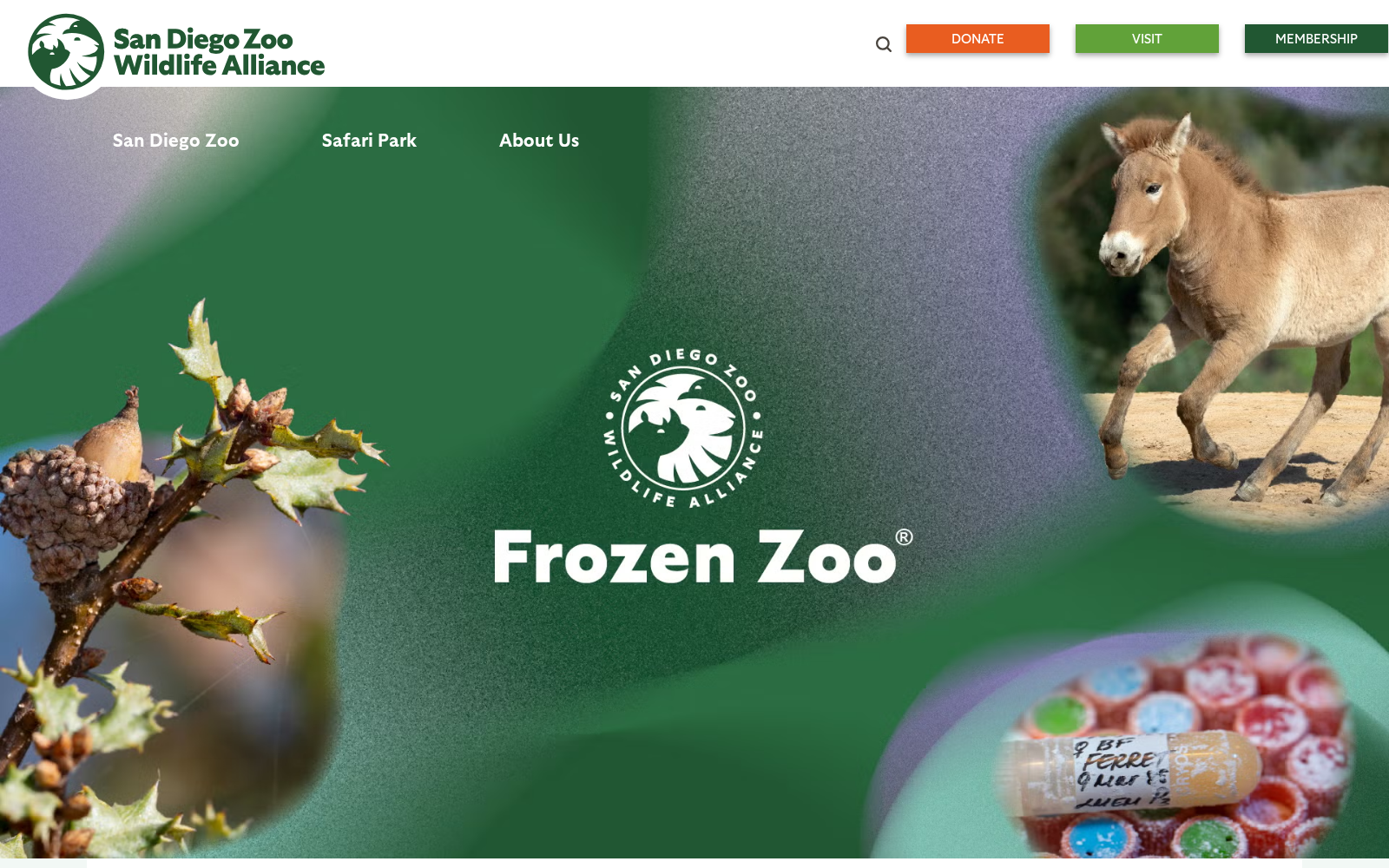 Frozen Zoo? 数据集图片