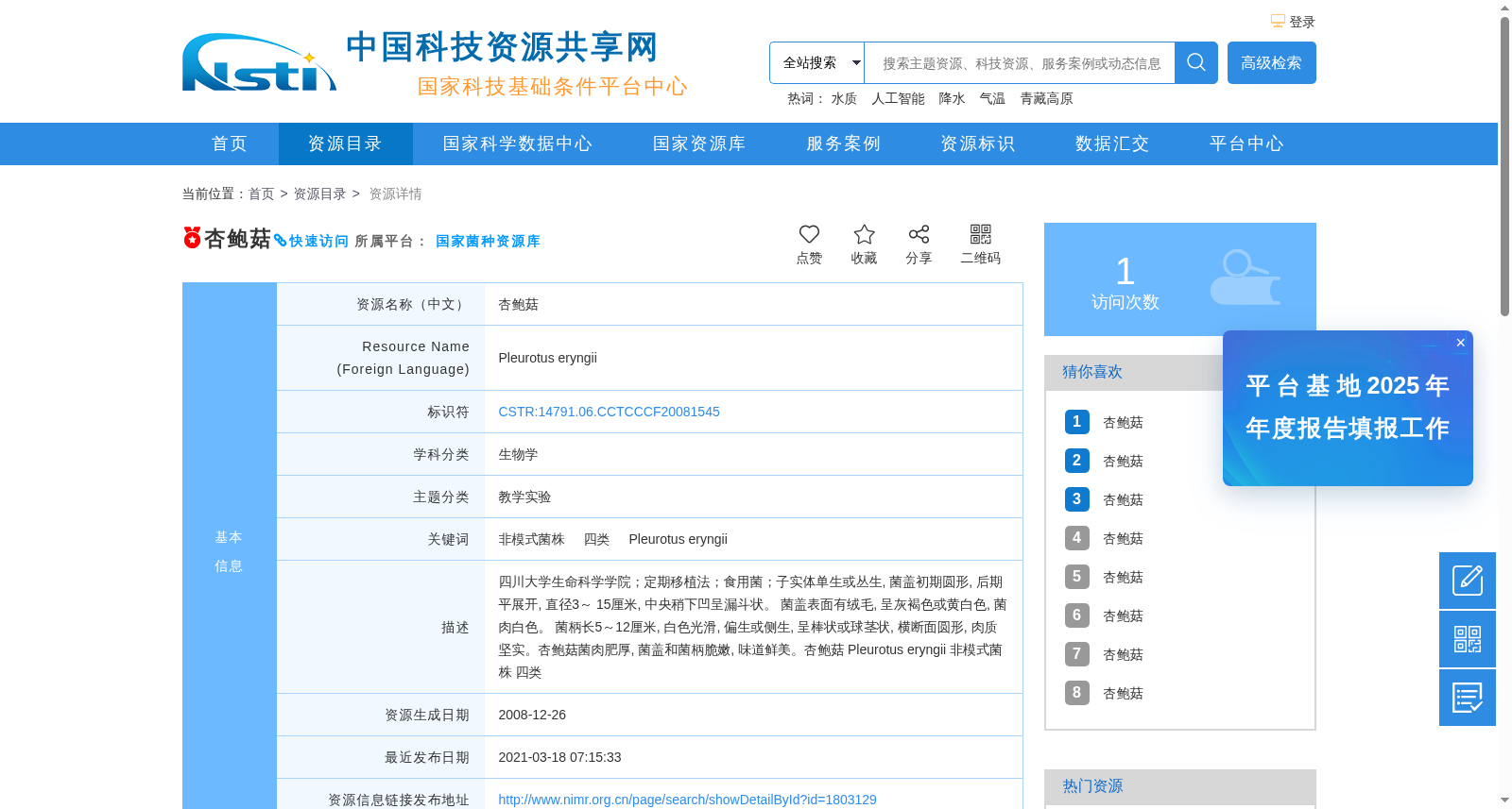 杏鲍菇 数据集图片