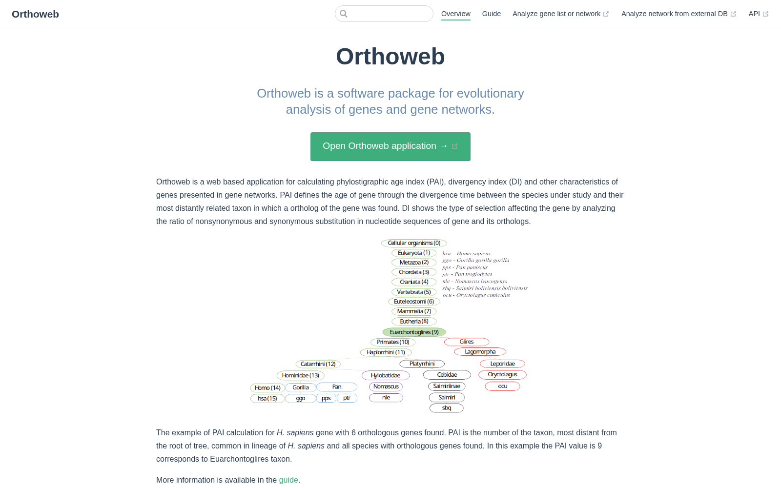 OrthoWeb 数据集图片