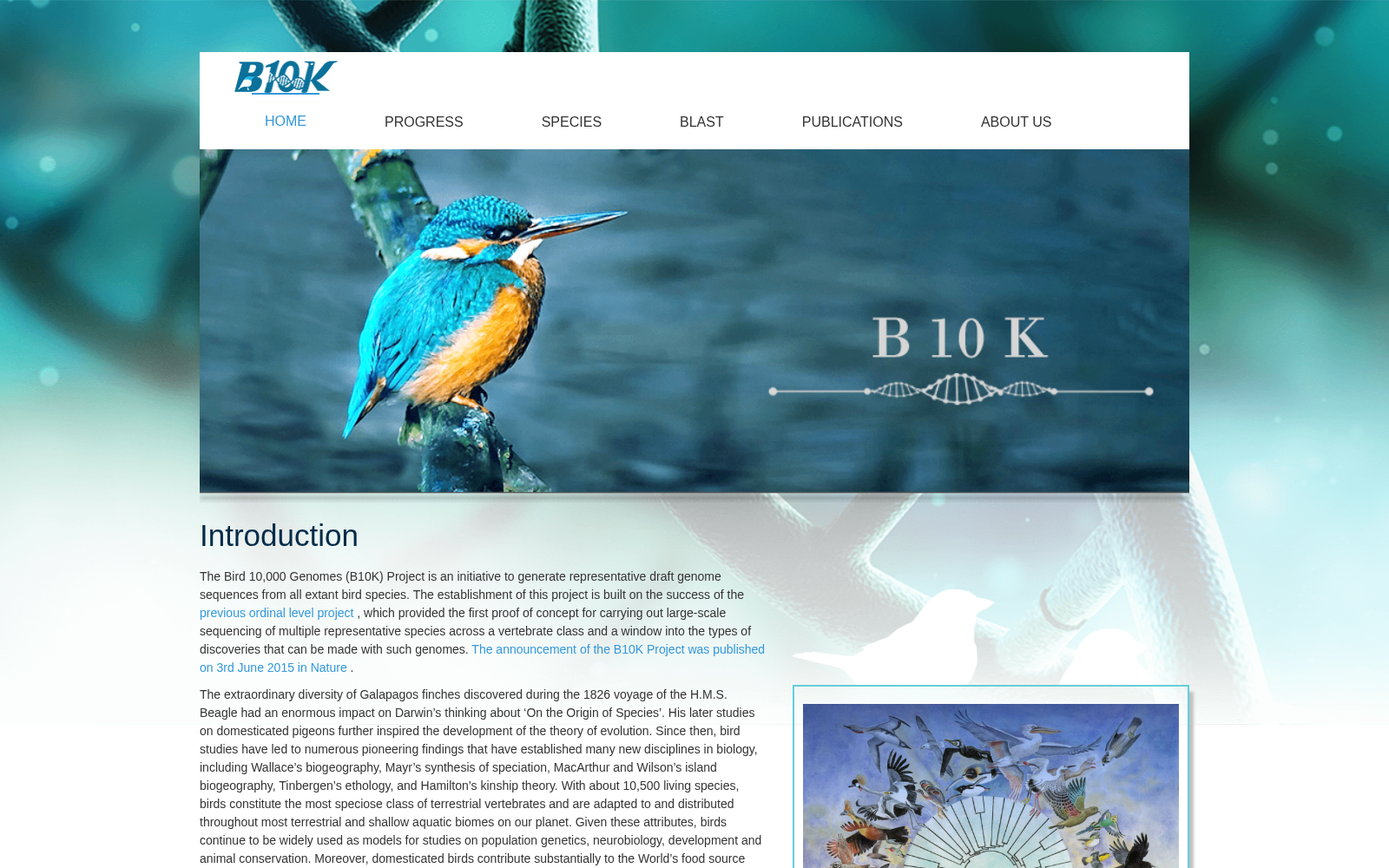 Bird 10,000 Genomes (B10K) Project 数据集图片