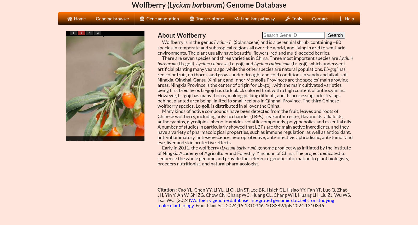 main_image_url