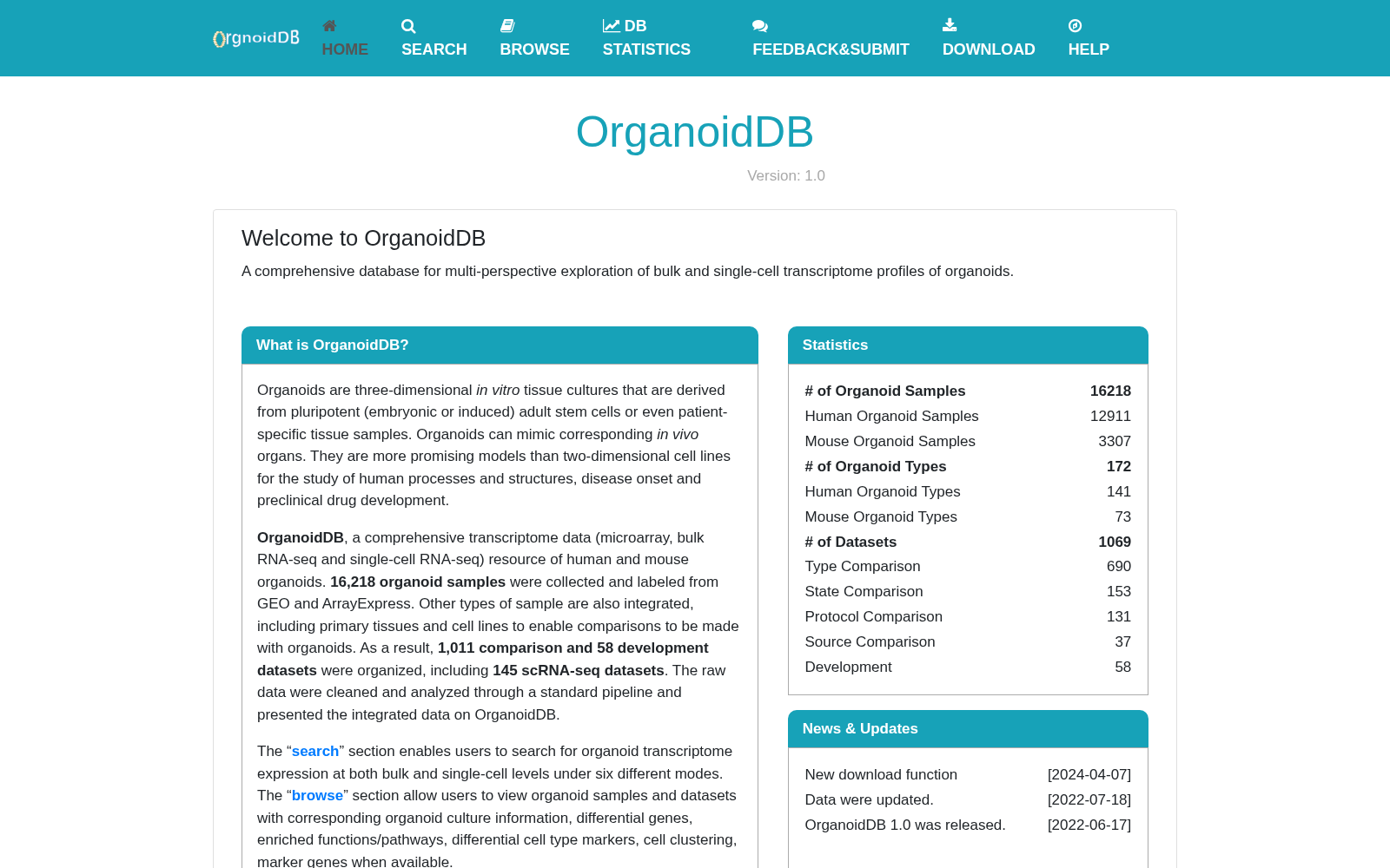 OrganoidDB 数据集图片