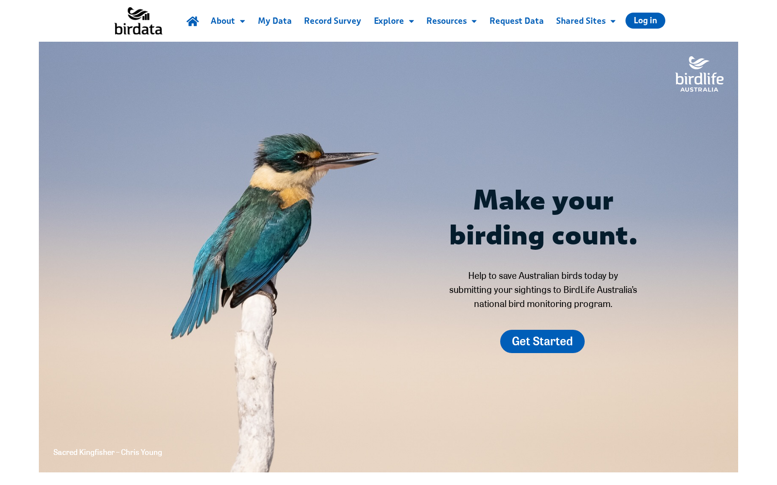 Birdata 数据集图片