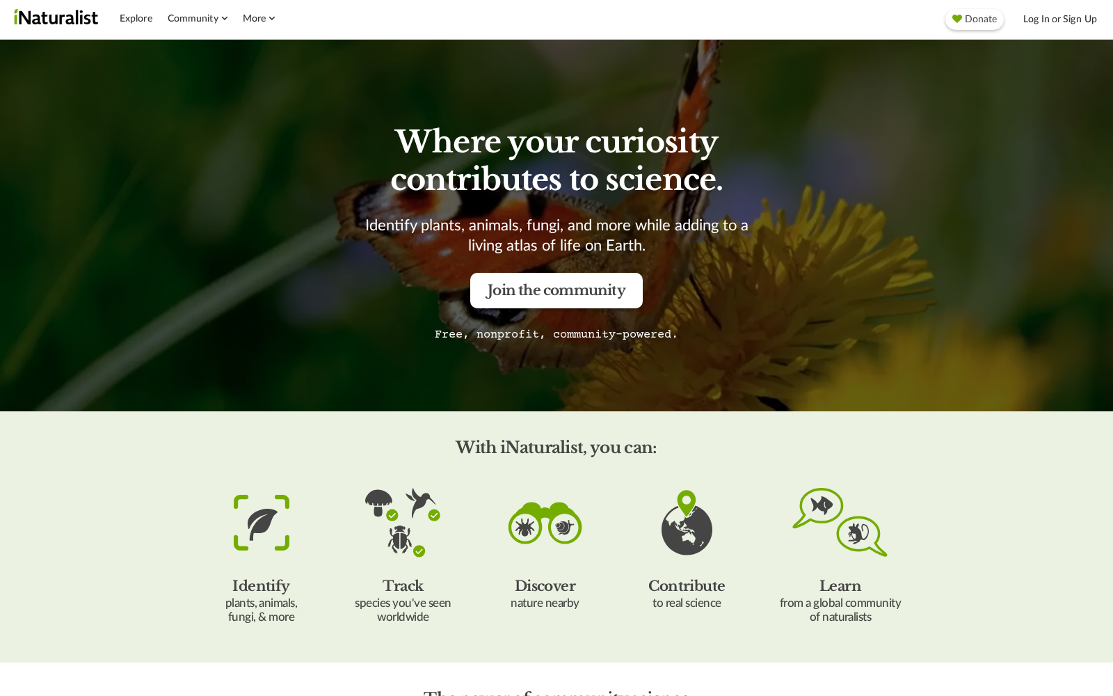 iNaturalist 数据集图片