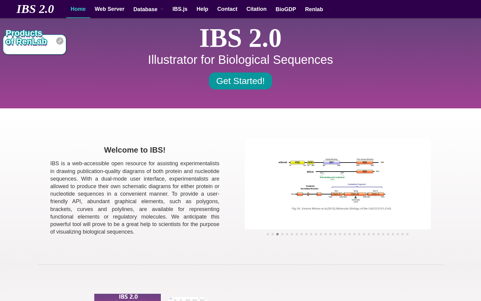 IBS 数据集图片
