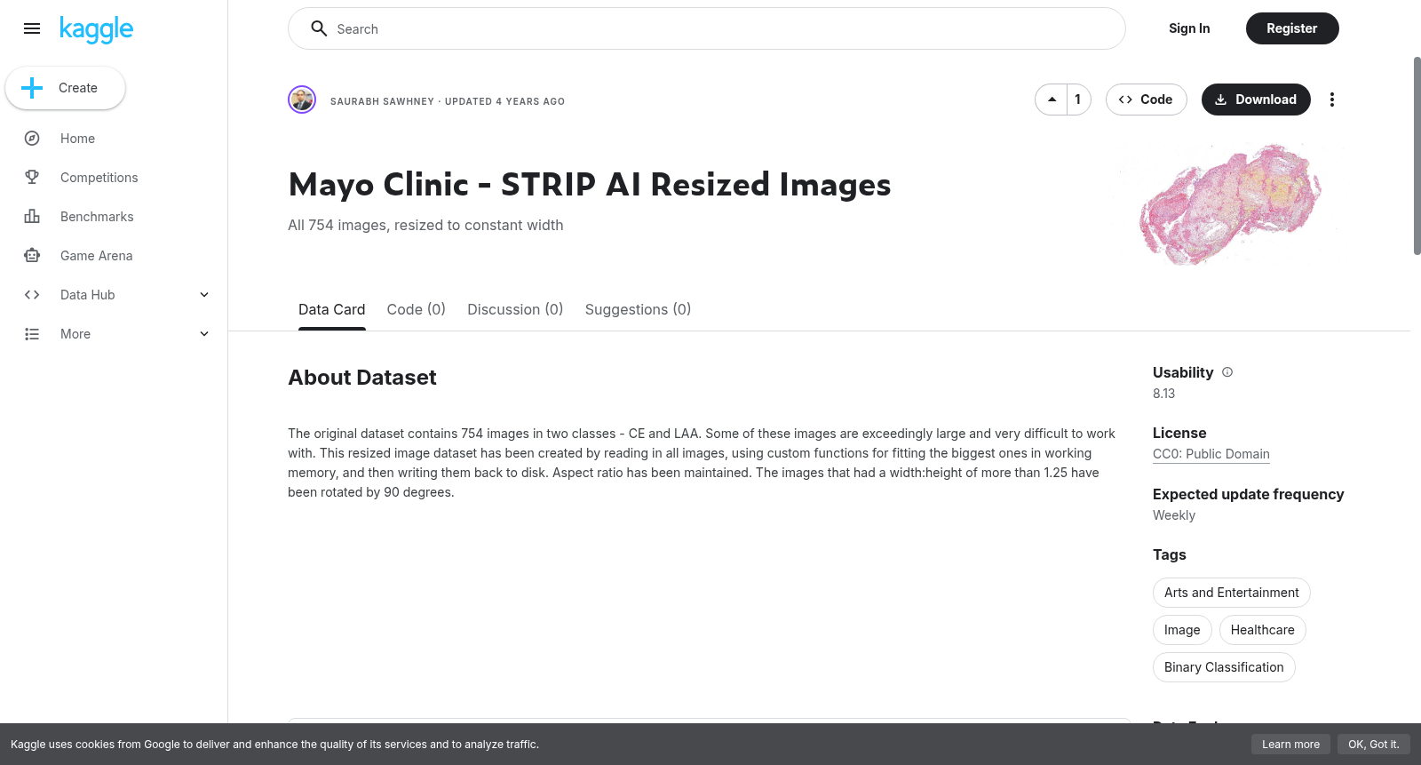 Mayo Clinic - STRIP AI Resized Images 数据集图片