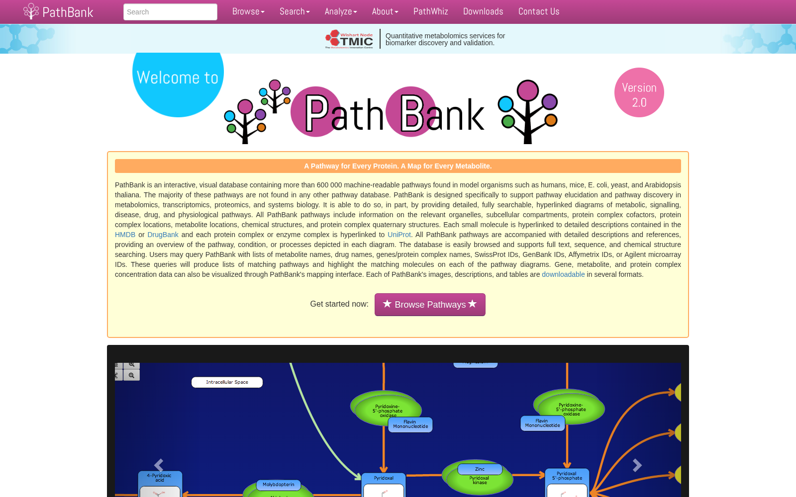 PathBank 数据集图片