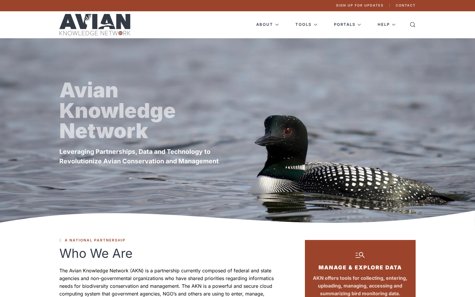 Avian Knowledge Network 数据集图片