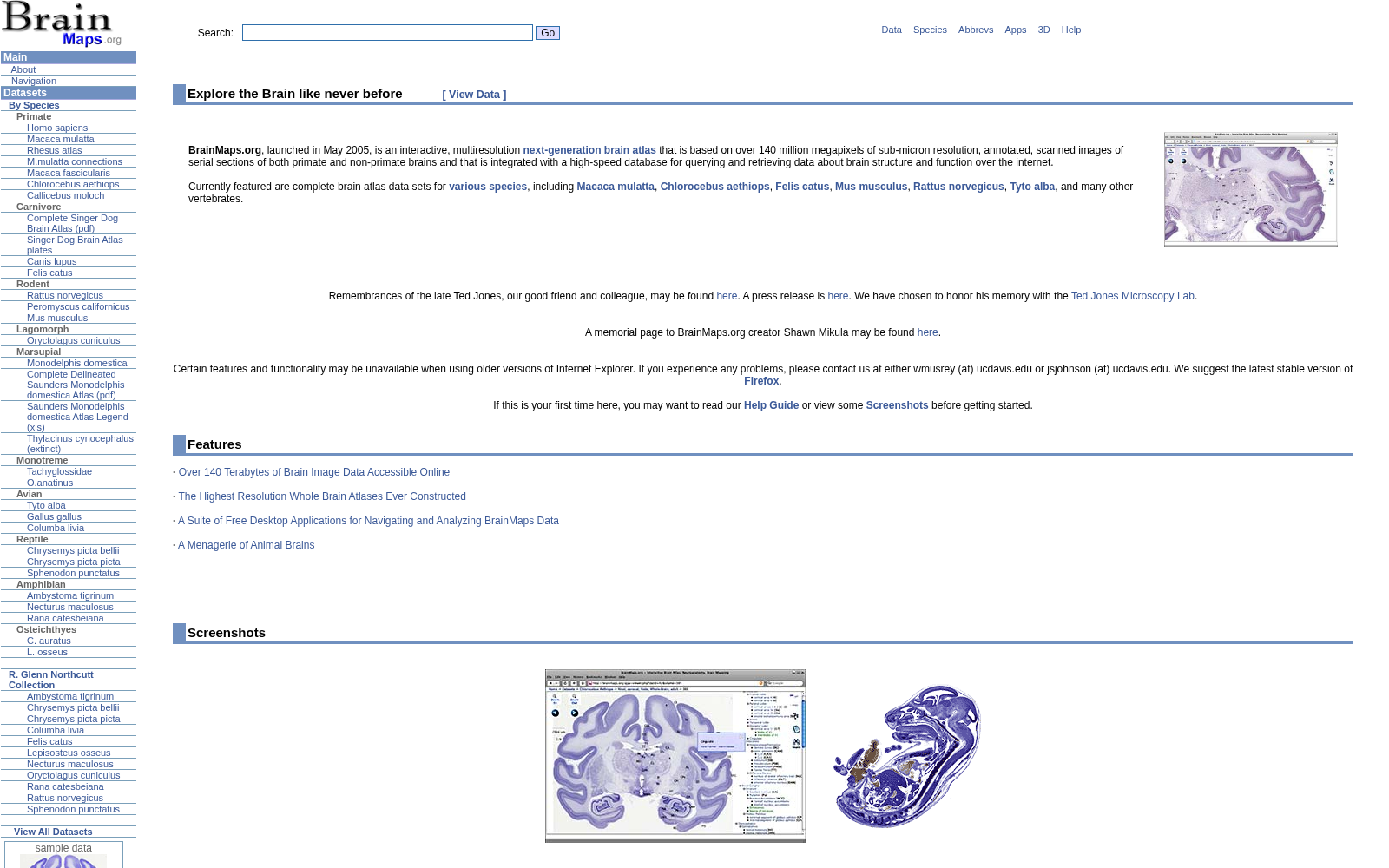 BrainMaps.org 数据集图片