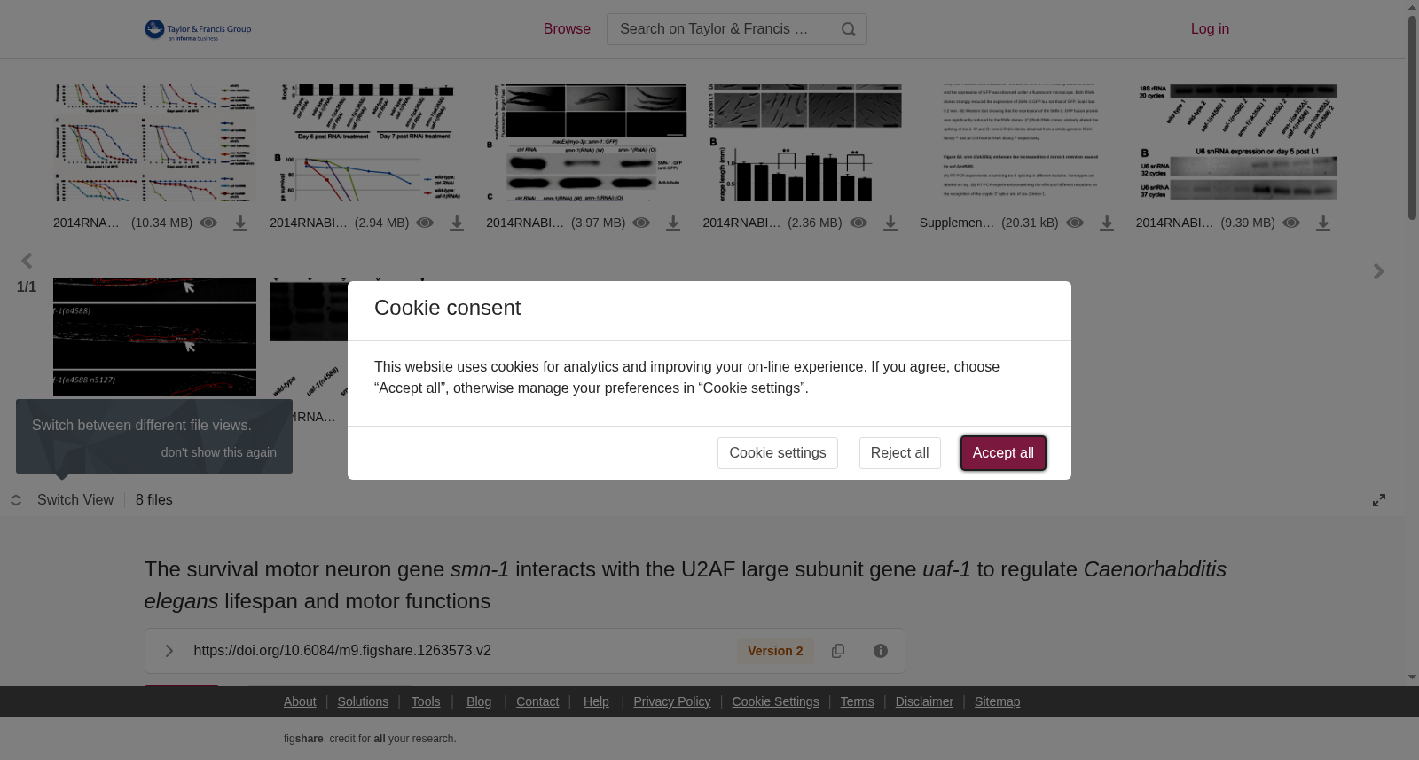 main_image_url