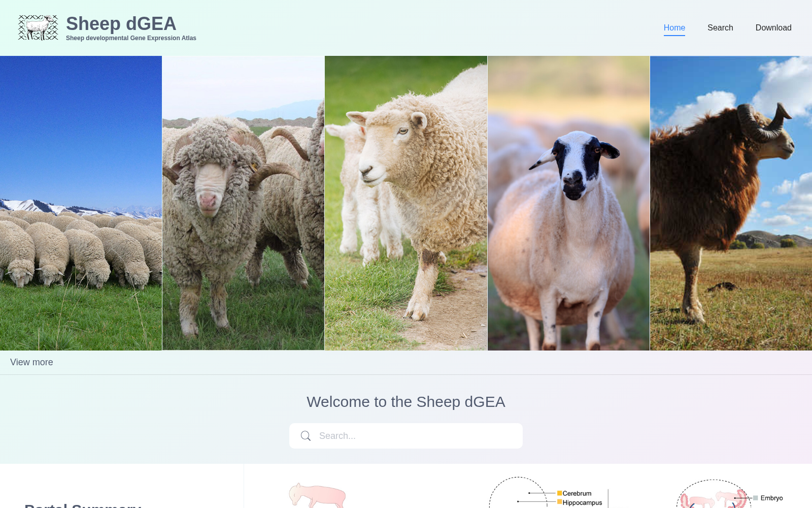 dGEA 数据集图片