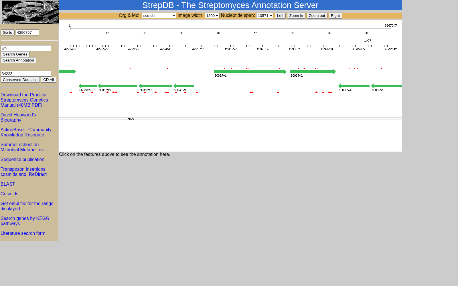 StrepDB 数据集图片