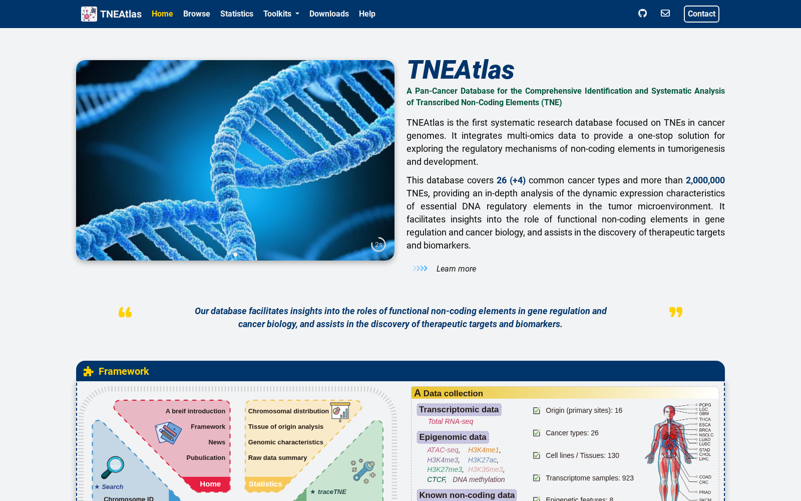 TNEAtlas 数据集图片