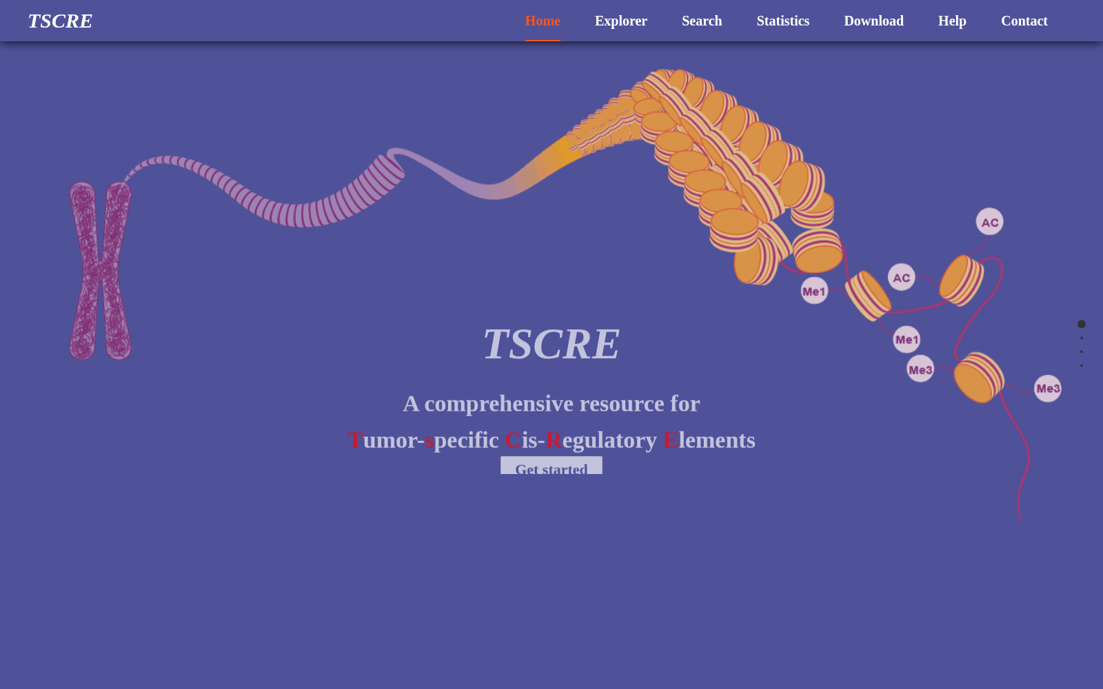 TSCRE 数据集图片