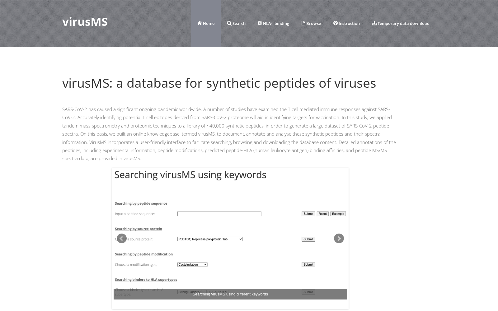virusMS 数据集图片