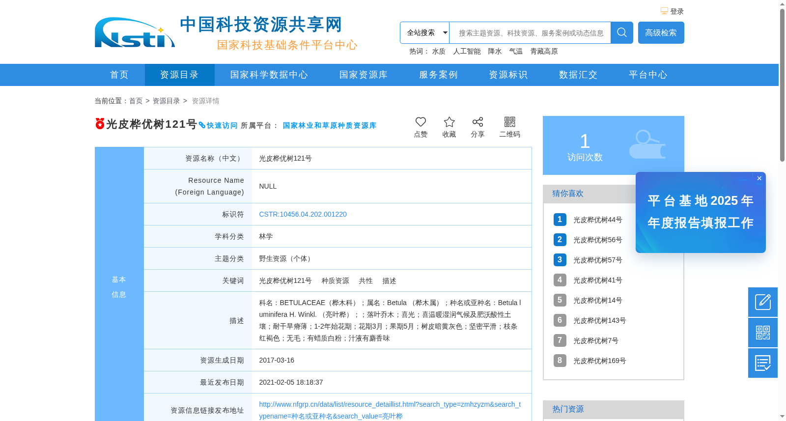 光皮桦优树121号 数据集图片