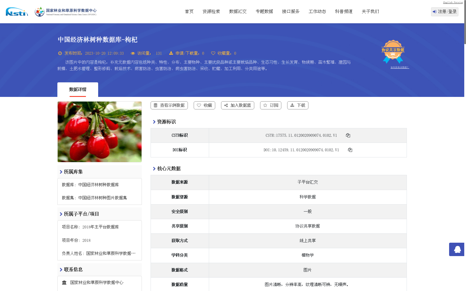 main_image_url
