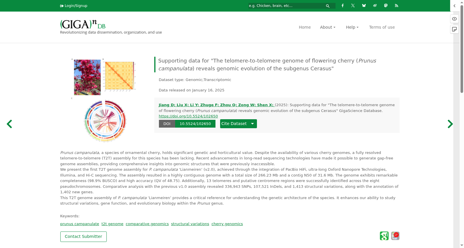 Supporting data for "The telomere-to-telomere genome of flowering cherry (<i>Prunus campanulata</i>) reveals genomic evolution of the subgenus Cerasus" 数据集图片