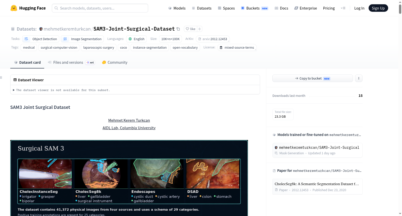 SAM3-Joint-Surgical-Dataset 数据集图片
