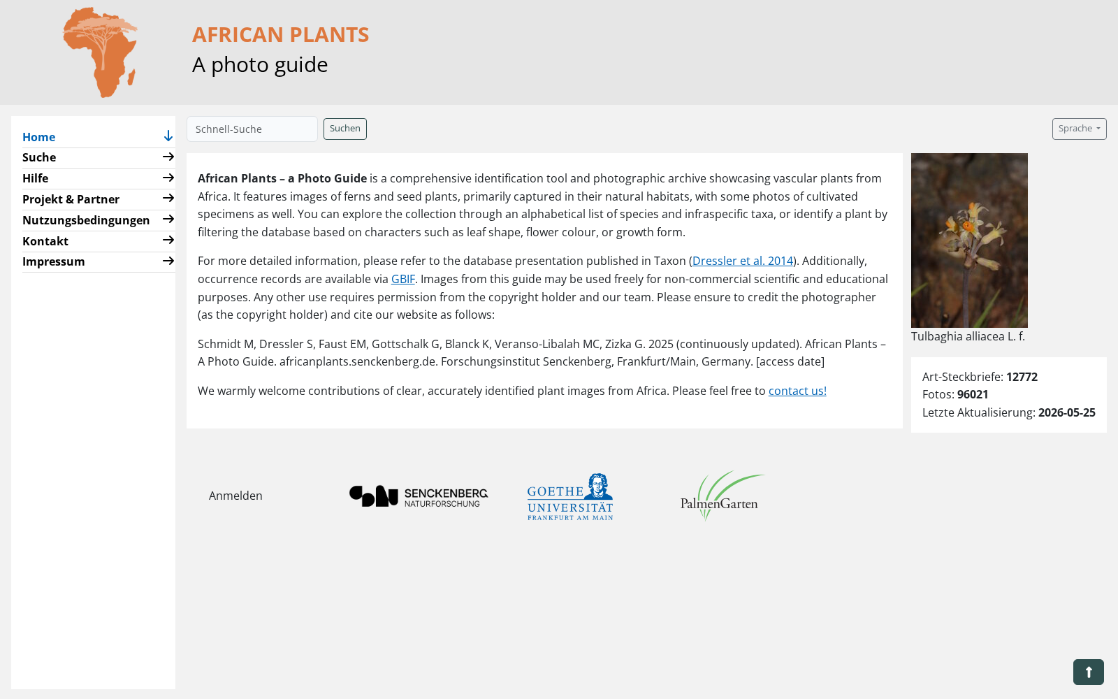 African Plants 数据集图片