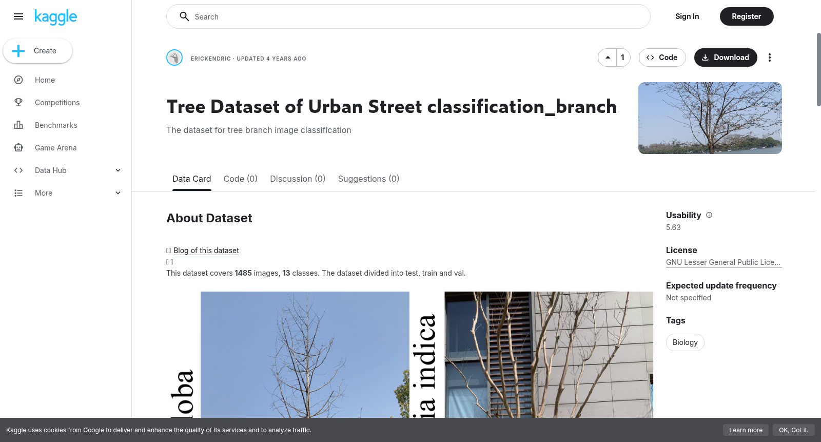 Tree Dataset of Urban Street classification_branch 数据集图片