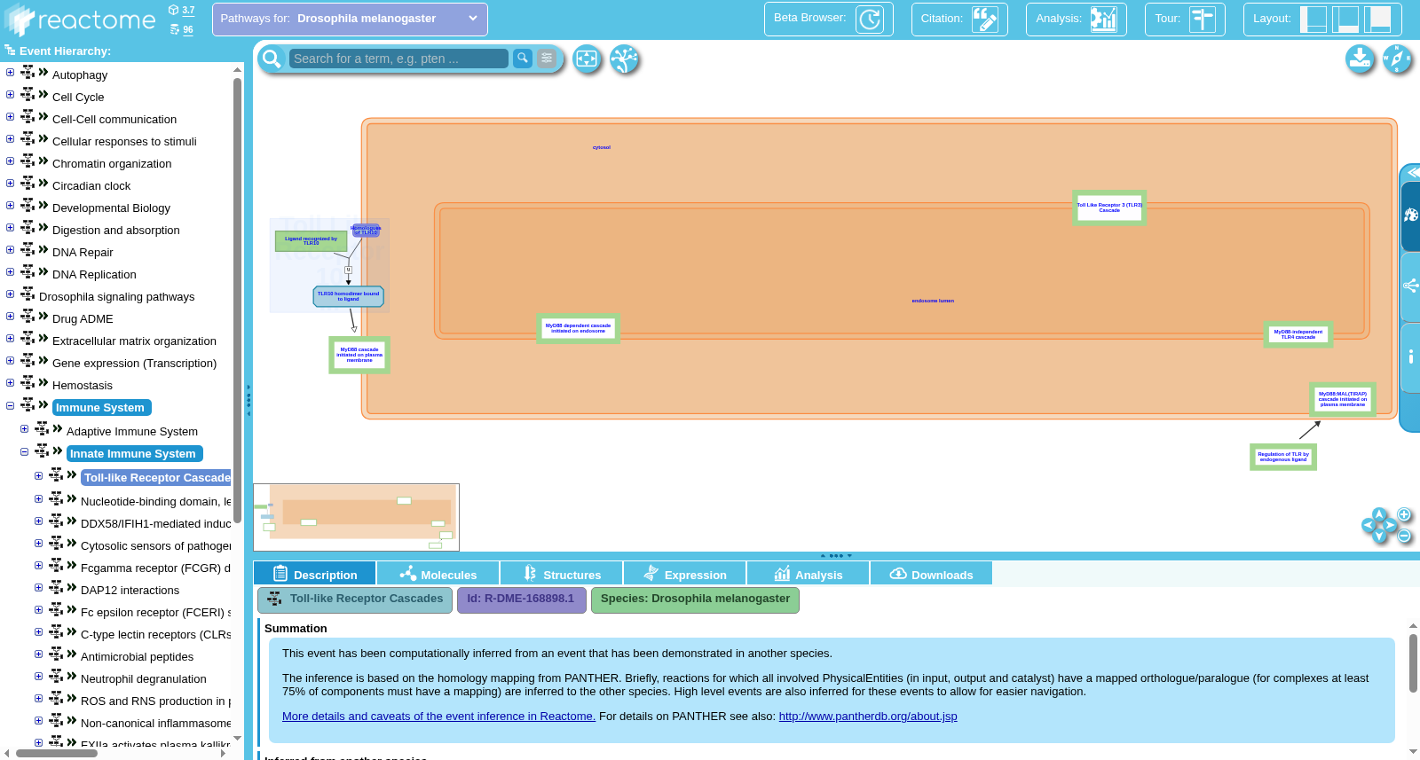 main_image_url