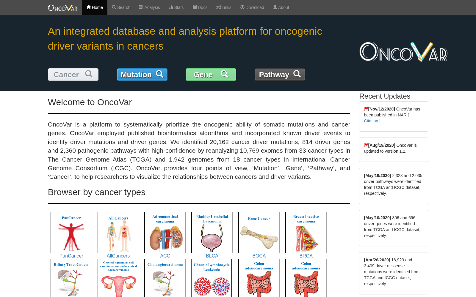 OncoVar 数据集图片