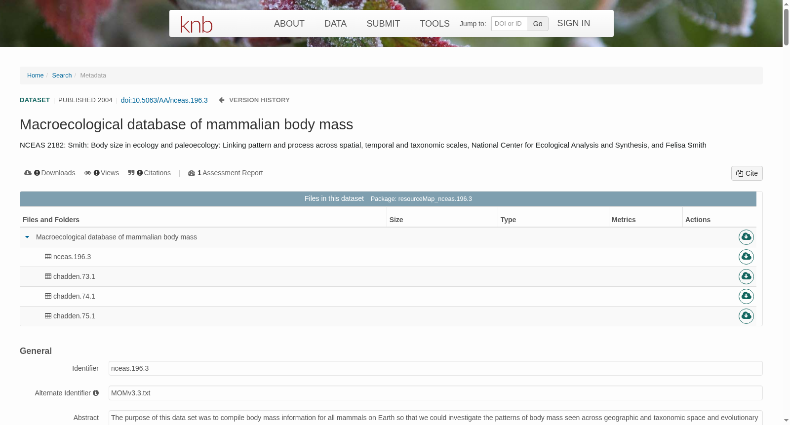 main_image_url