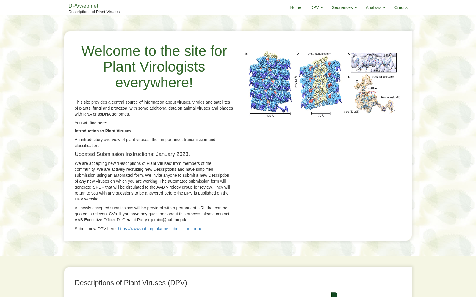 DPVweb 数据集图片