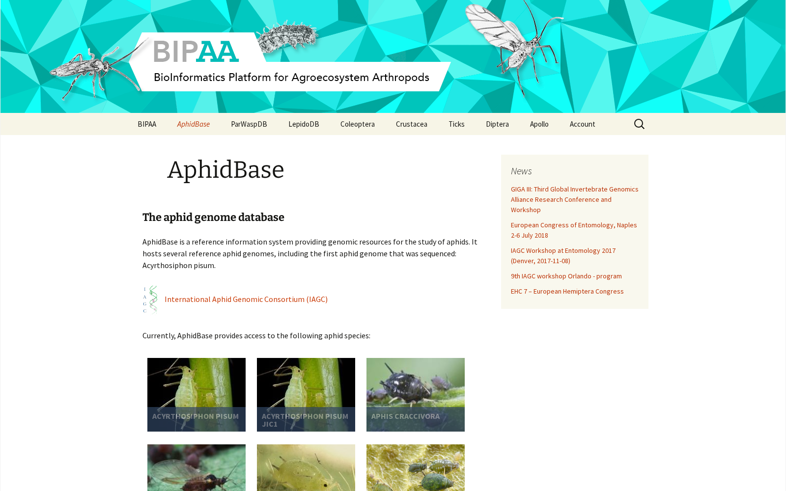 Aphid Genomics Database 数据集图片
