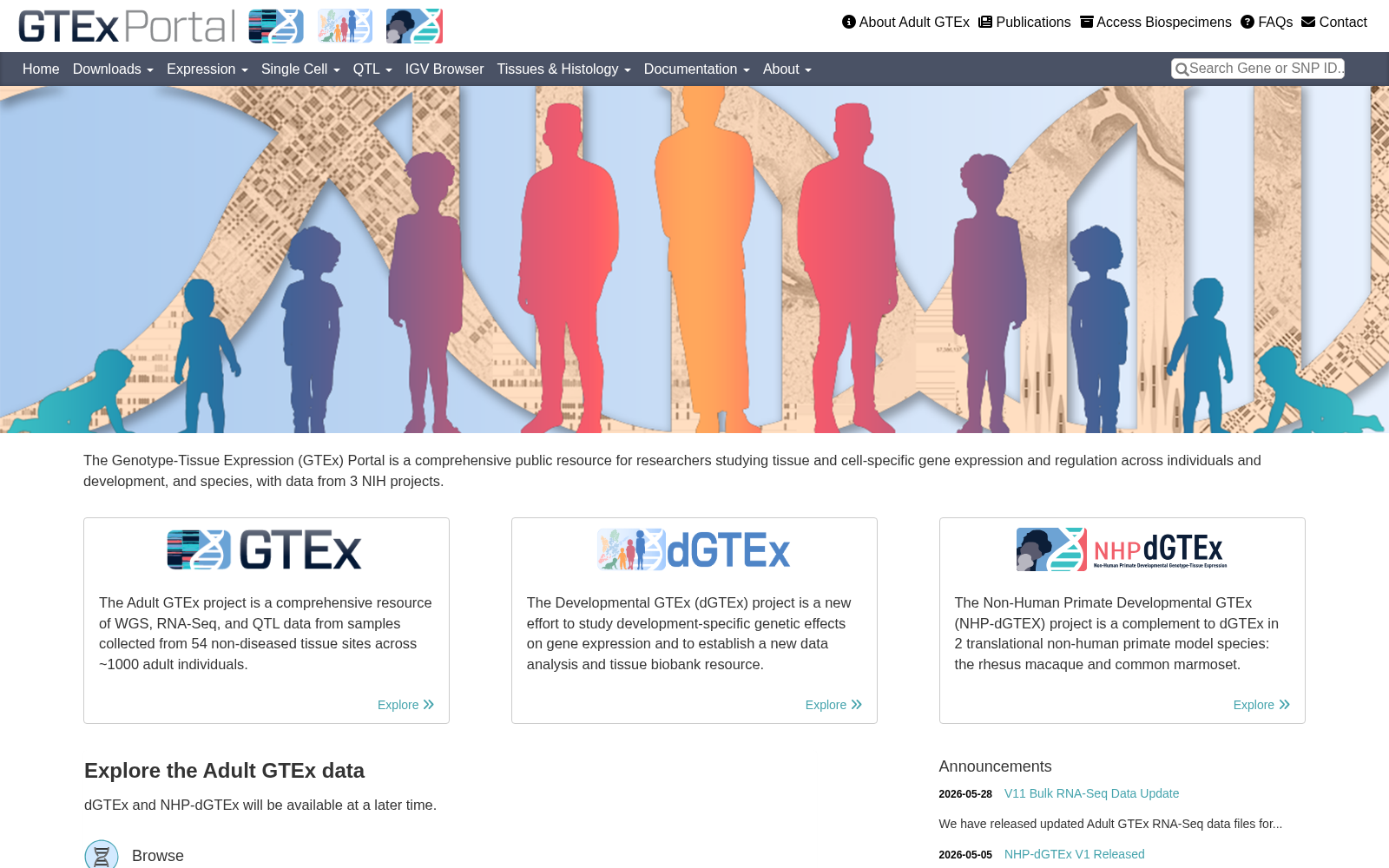 GTEx 数据集图片