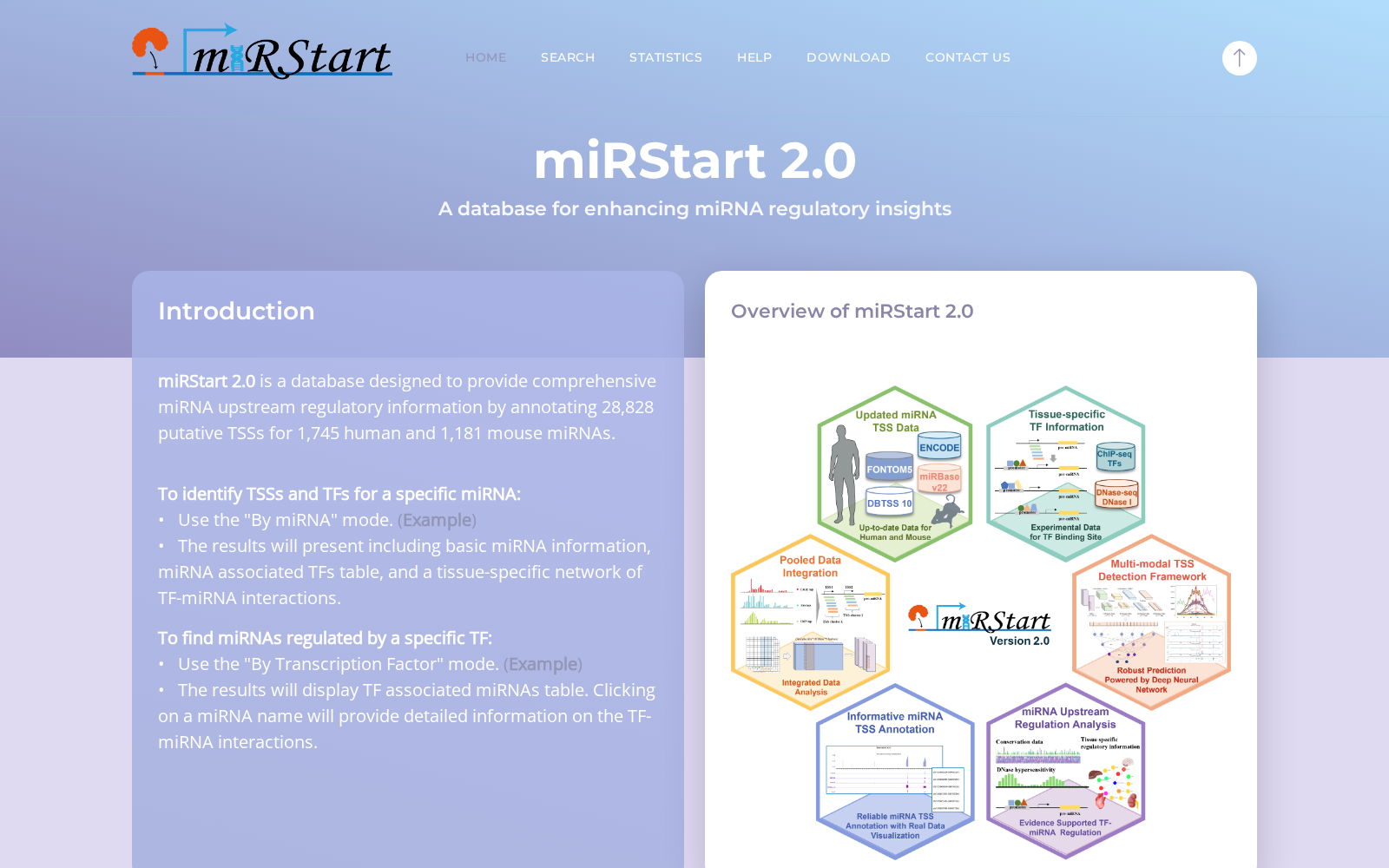 miRStart 数据集图片