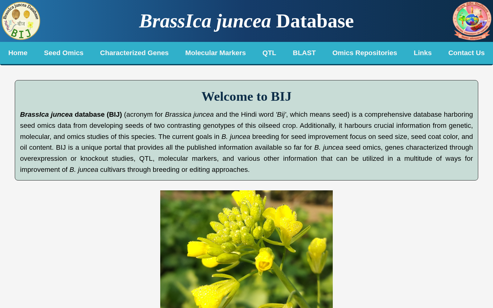 BIJ 数据集图片