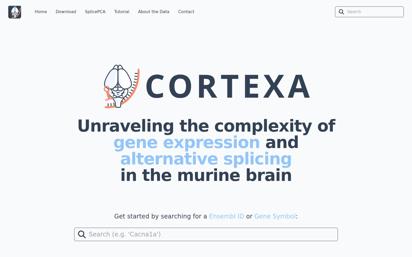 Cortexa 数据集图片