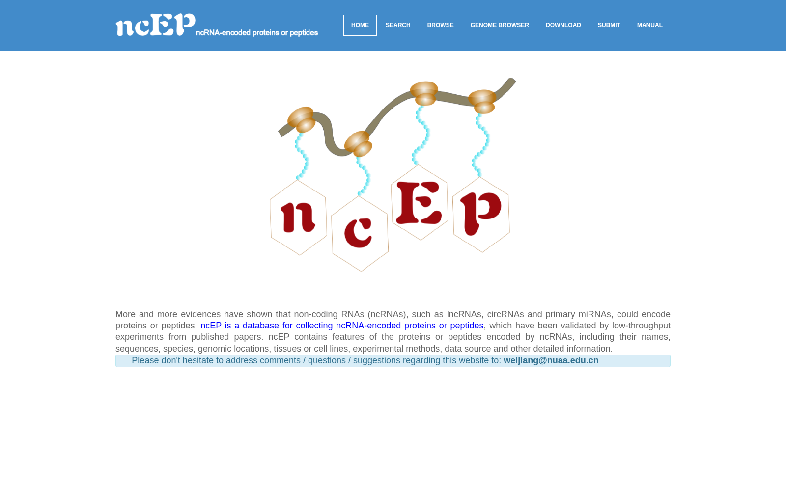 ncEP 数据集图片