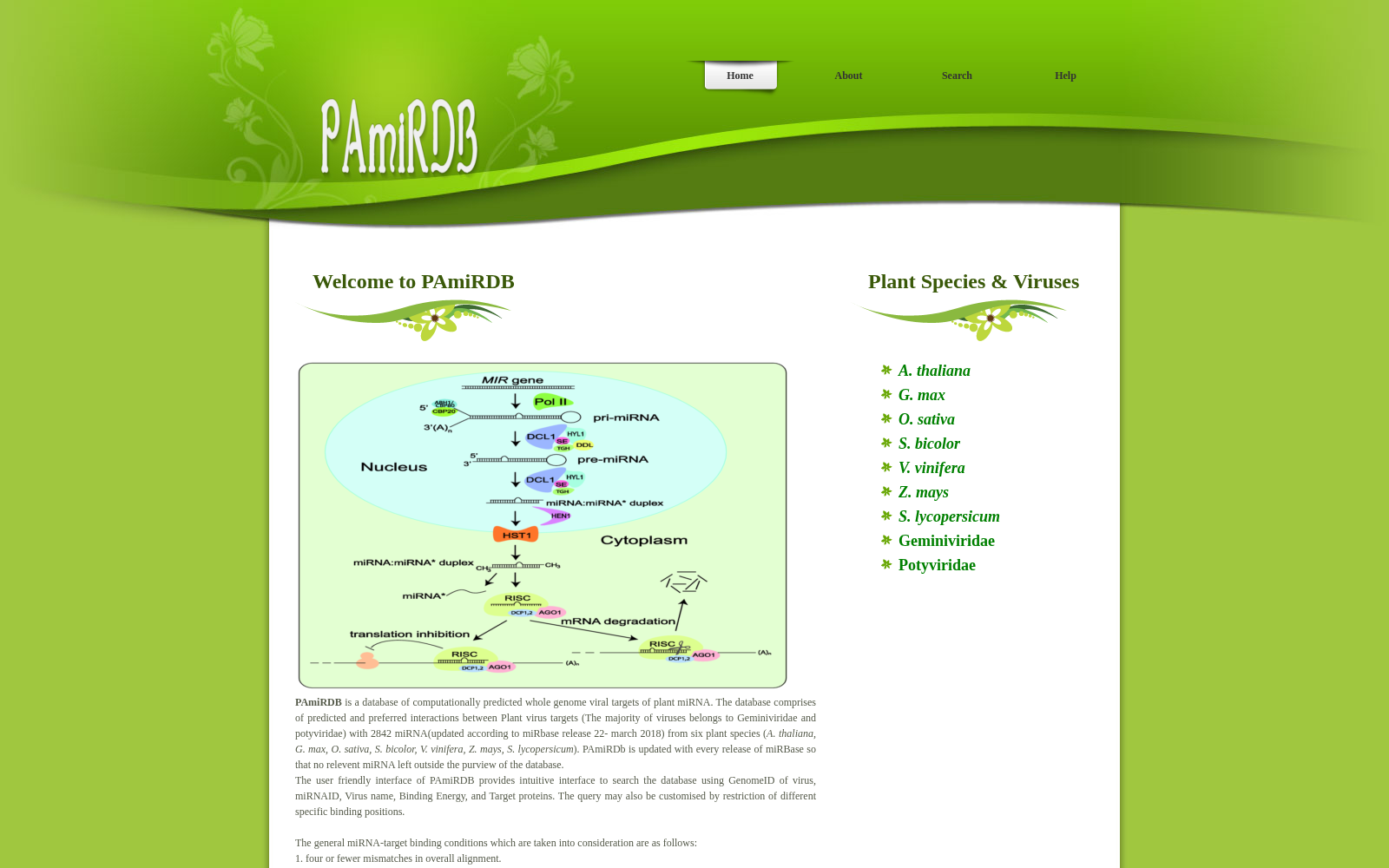 PAmiRDB 数据集图片