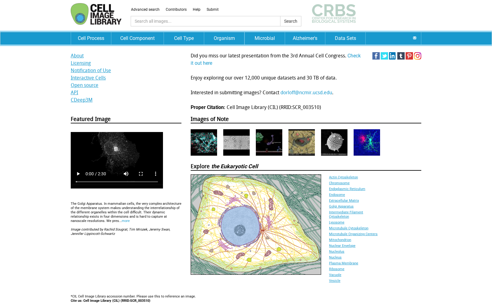 The Cell Image Library 数据集图片