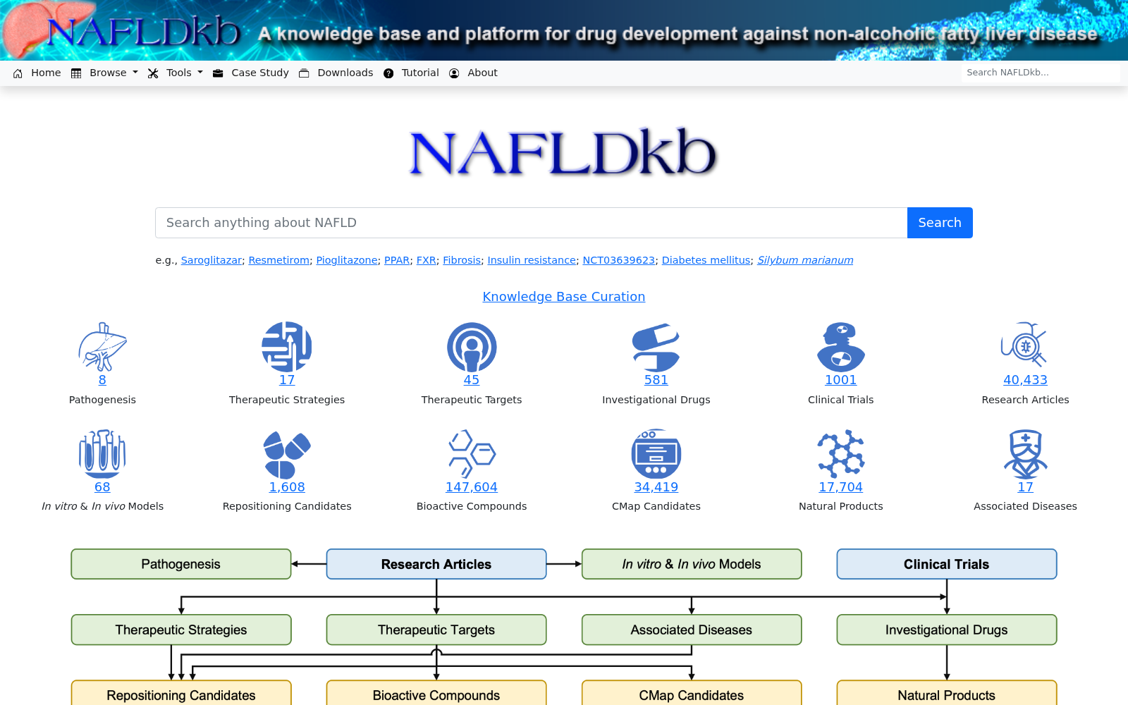 NAFLDkb 数据集图片