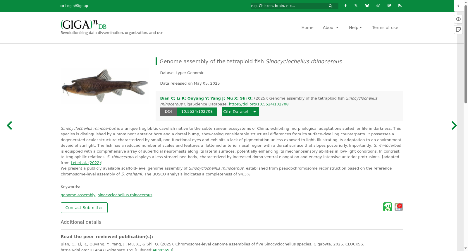 Genome assembly of the tetraploid fish <i>Sinocyclocheilus rhinocerous</i> 数据集图片