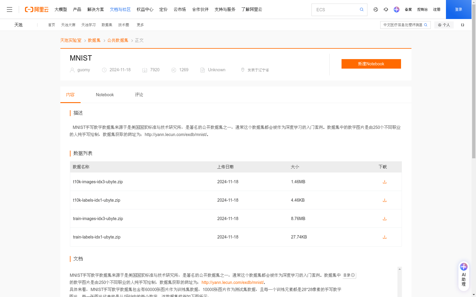 main_image_url