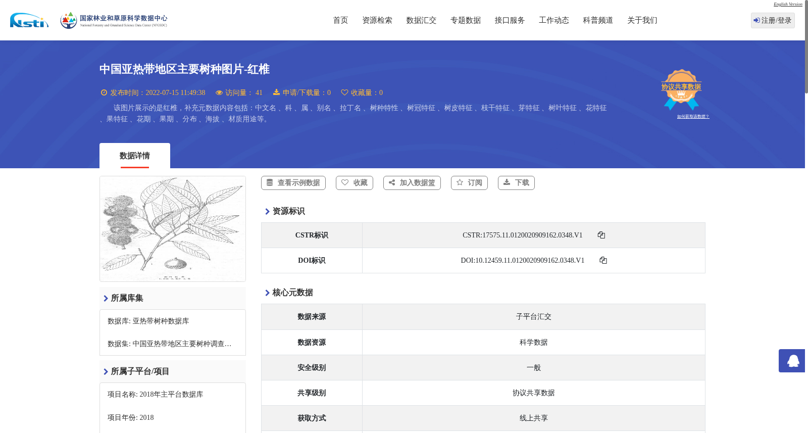 main_image_url