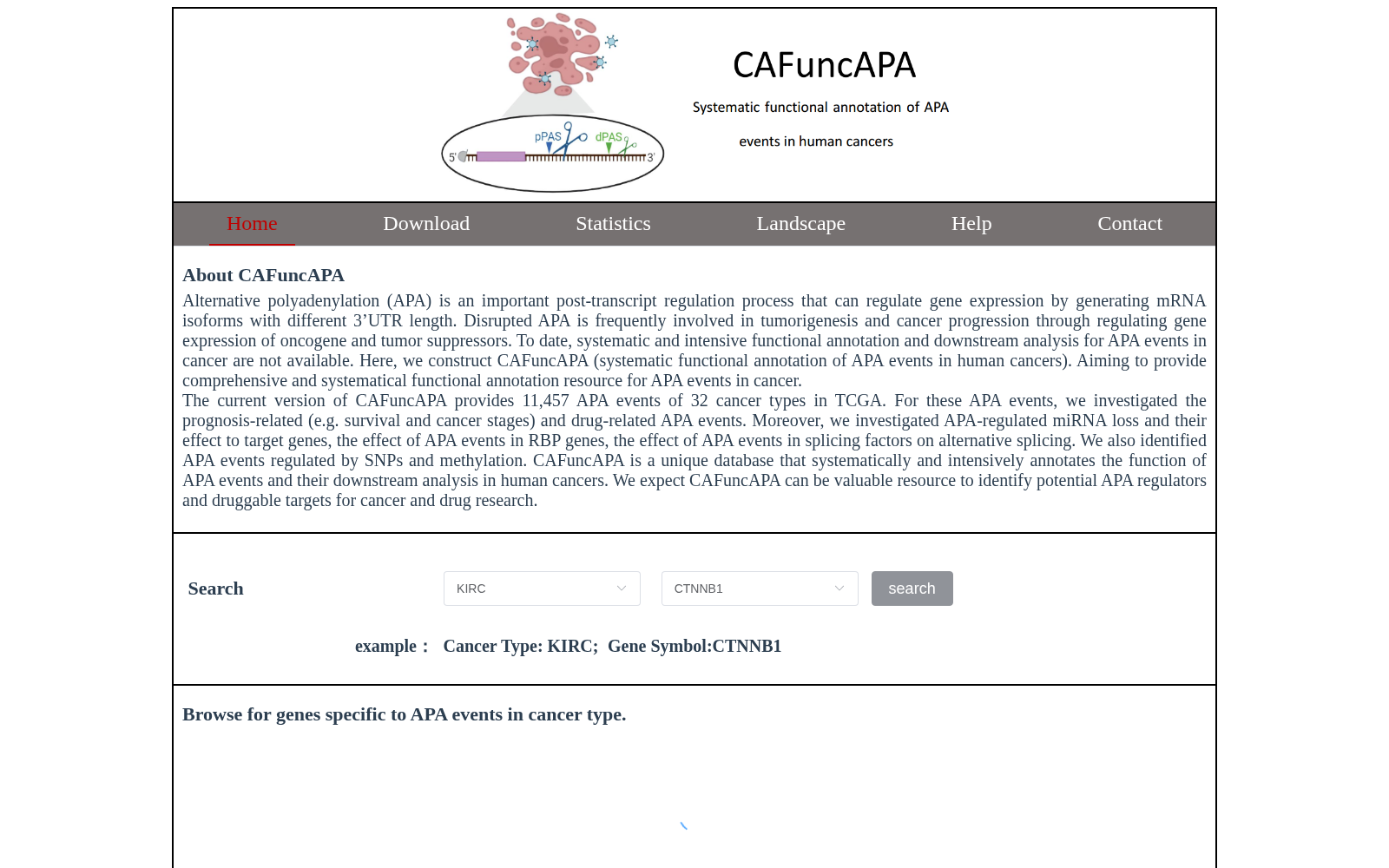 CAFuncAPA 数据集图片