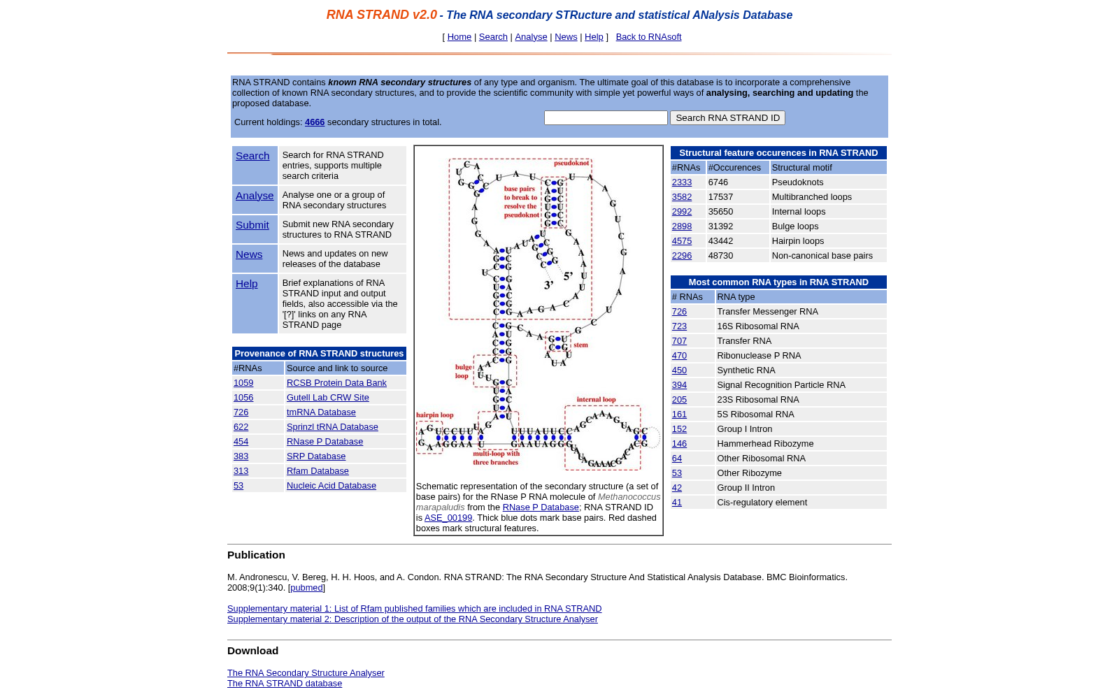 RNA STRAND 数据集图片