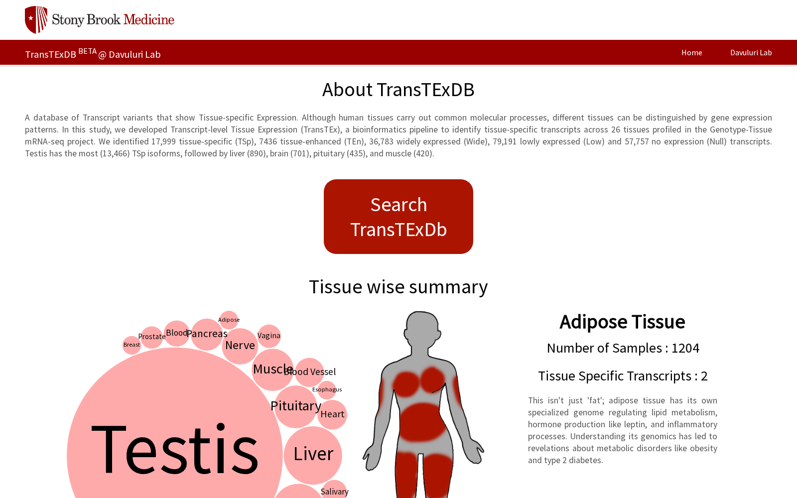 TransTEx 数据集图片